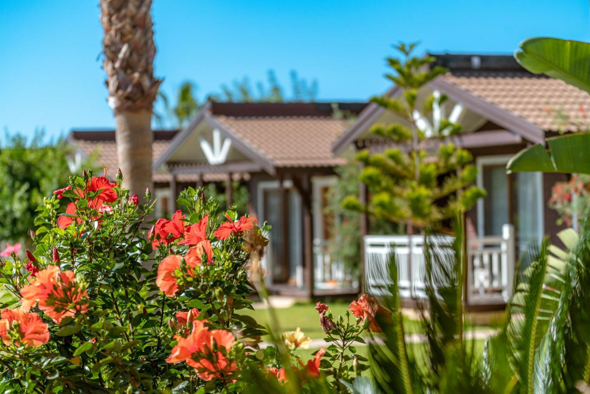 Sedir Park - Beach Bungalow Kargicak  Exterior photo