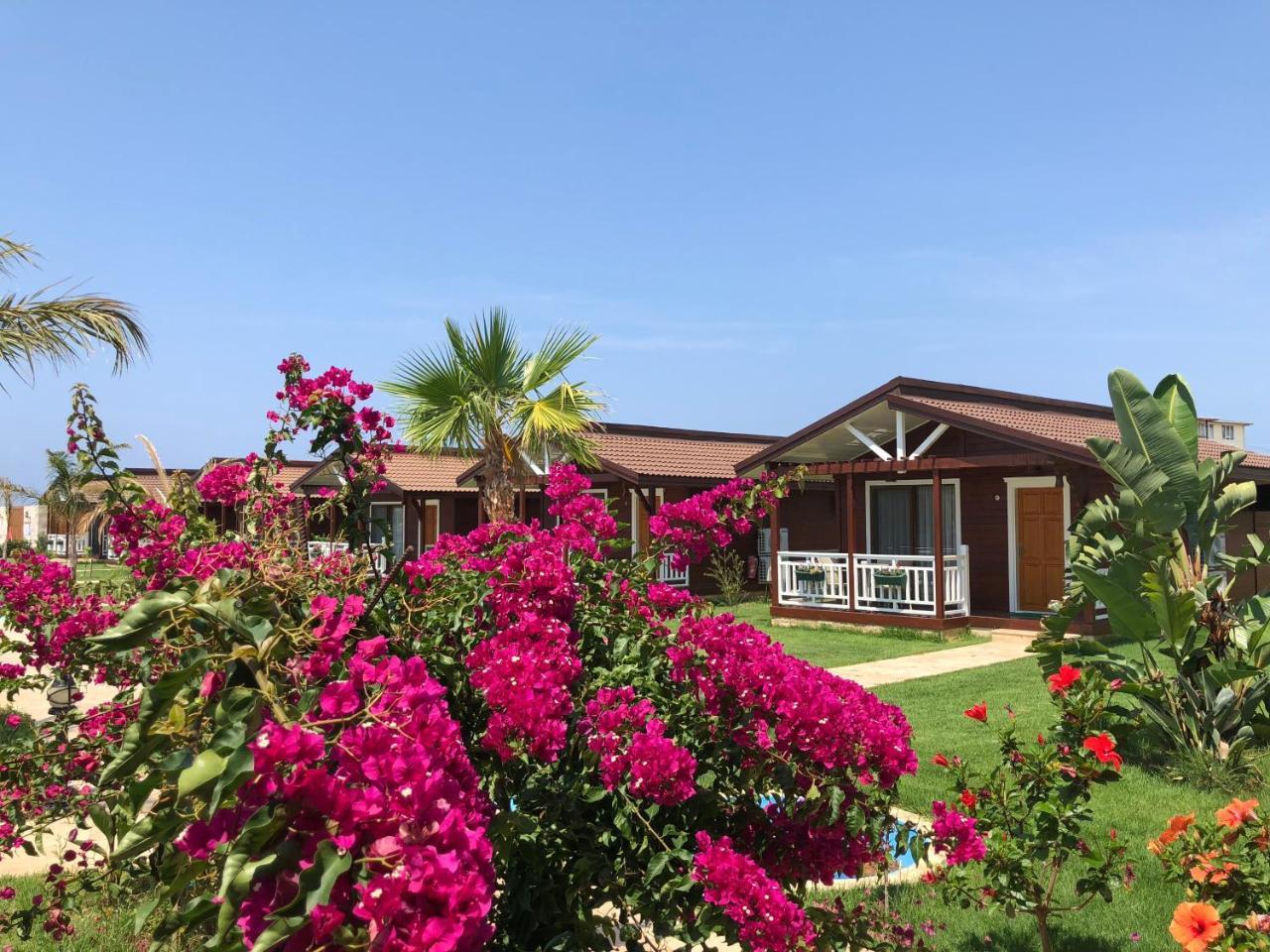 Sedir Park - Beach Bungalow Kargicak  Exterior photo